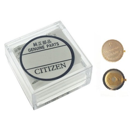 295-6900 CITIZEN ACCUMULATORE