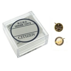 295-7600 CITIZEN ACCUMULATORE